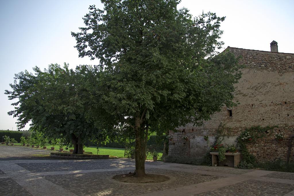 سان جيوفانّي لوباتوتو La Corte Di Anna Agriturismo المظهر الخارجي الصورة